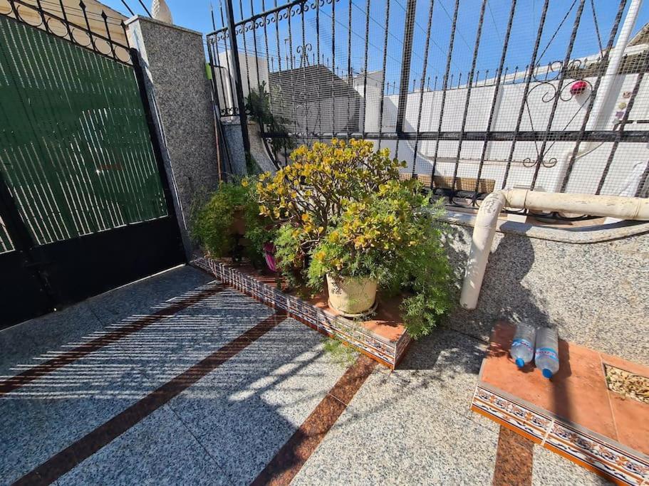 Marble Manor Guest House Los Alcazares Ngoại thất bức ảnh